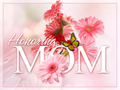 Honoring Mom