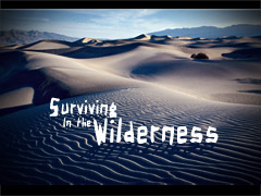 Surviving in the Wilderness