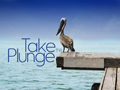 Take The Plunge