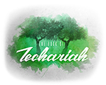 Zechariah Paint - Soft-Edged